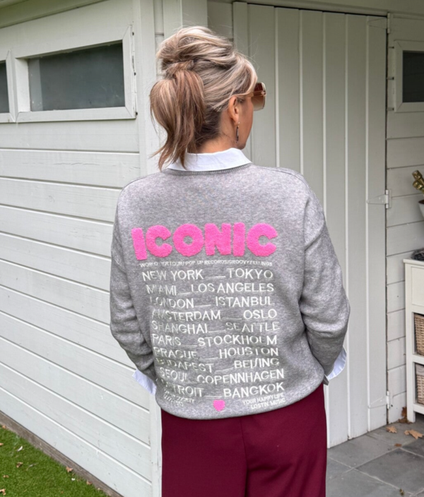 Iconic trui GRIJS