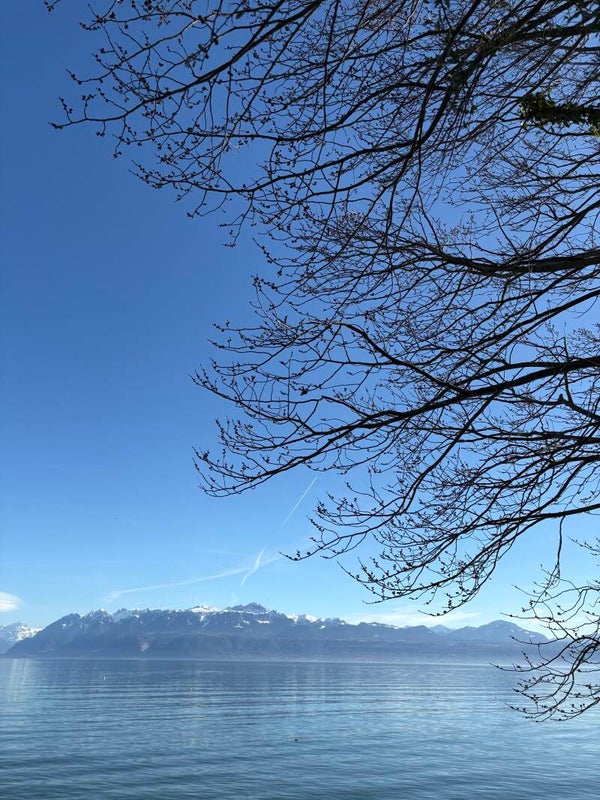 Tableau 1 : Un air de printemps Alu Dibond