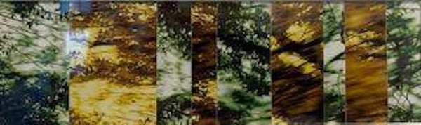 Christiaan de Roo - zonder titel