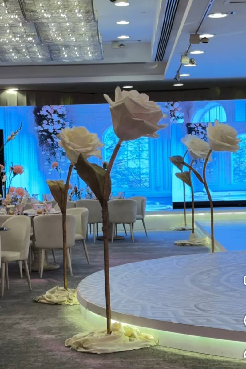 Celebration Nova organizacija evenata I produkcija