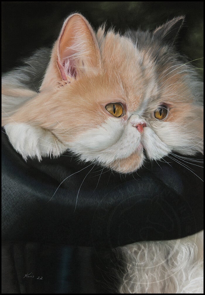 Dessin d'un chat Persan blanc et orangé dans les bras de sa maîtresse en manteau de cuir noir.