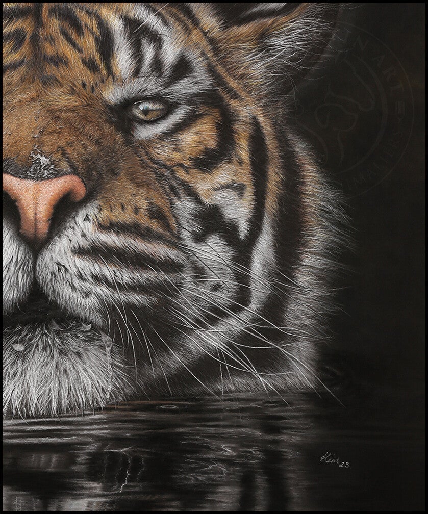 Dessin d'un demi visage de tigre (portion gauche) immergé dans l'eau jusqu'au cou sur fond noir.