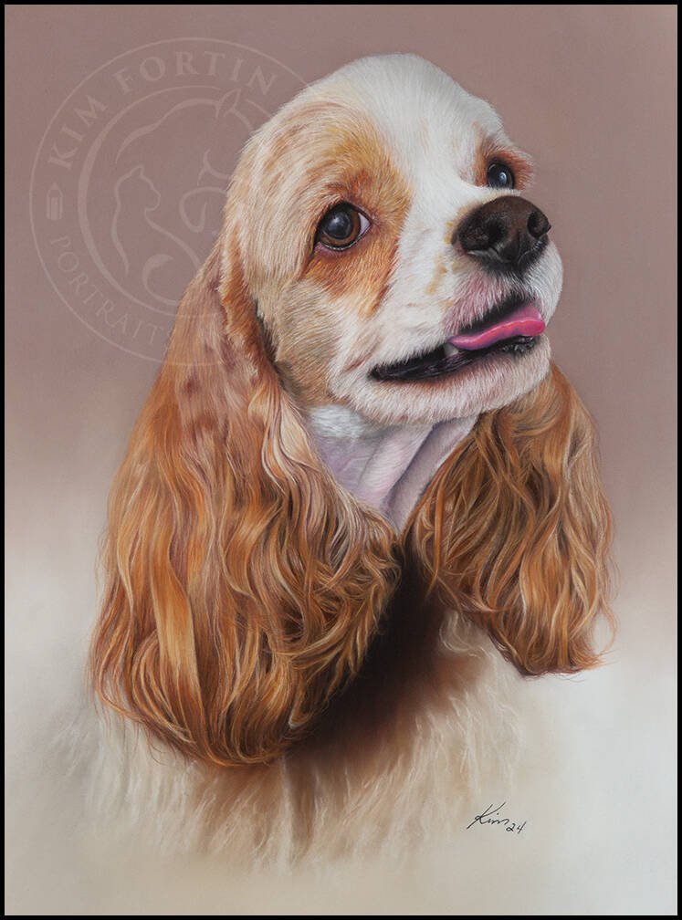 Dessin d'une chien Cocker avec la langue sortie sur fons rosé dégradé.