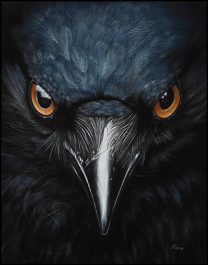 Dessin d'un oiseau Corbeau bleuté dans le haut et noir dans le bas. Les yeux jaunes perçants semblent menaçants.
