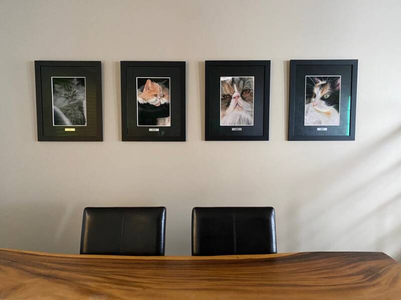 Photo du mur où sont exposés 4 encadrements de chats, Sara, Charlotte, Maggy et Marble.
