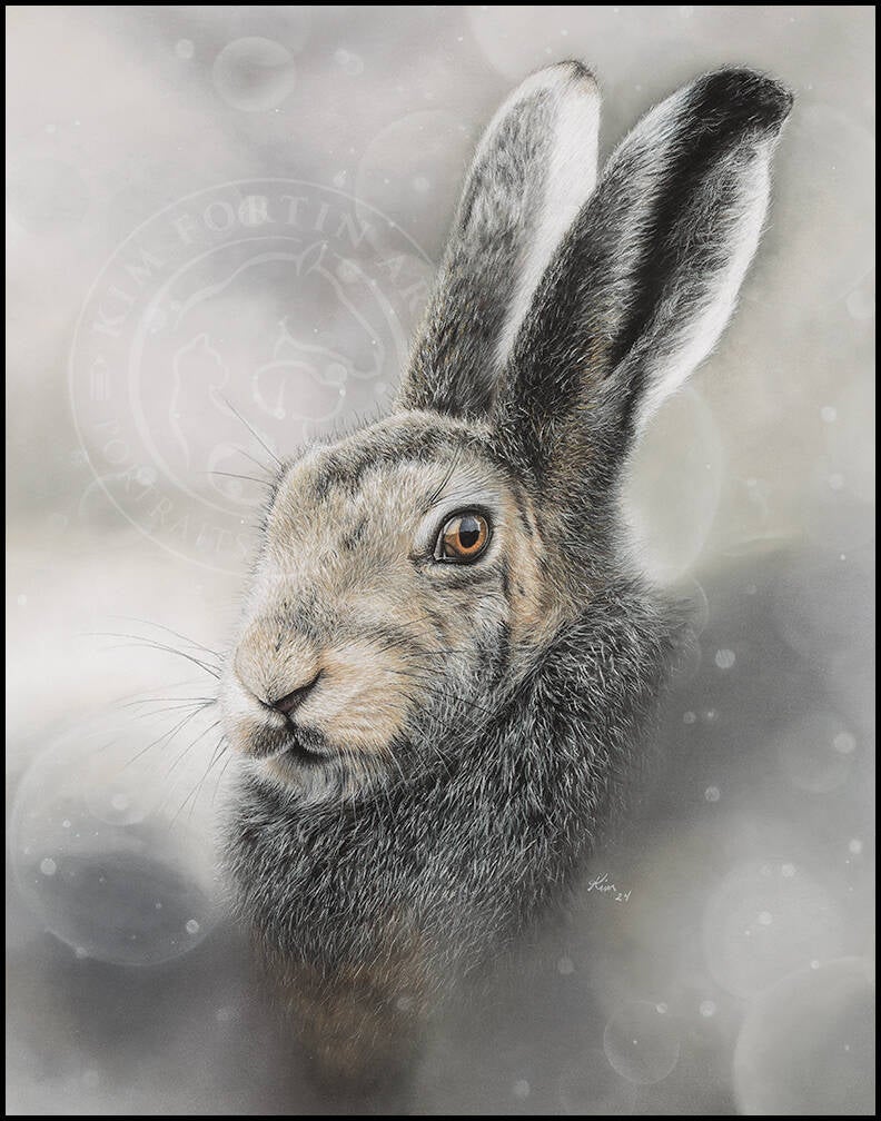 Dessin d'un lièvre arctique dans un brouillard hivernal.