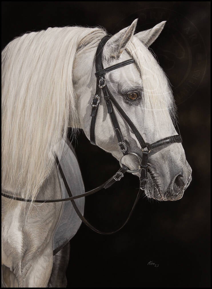 Dessin d'un cheval blanc avec harnais noir.