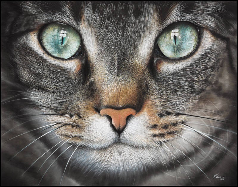 Dessin d'un chat Tigré en plan rapproché dont les yeux turquoises sont le point de focus.
