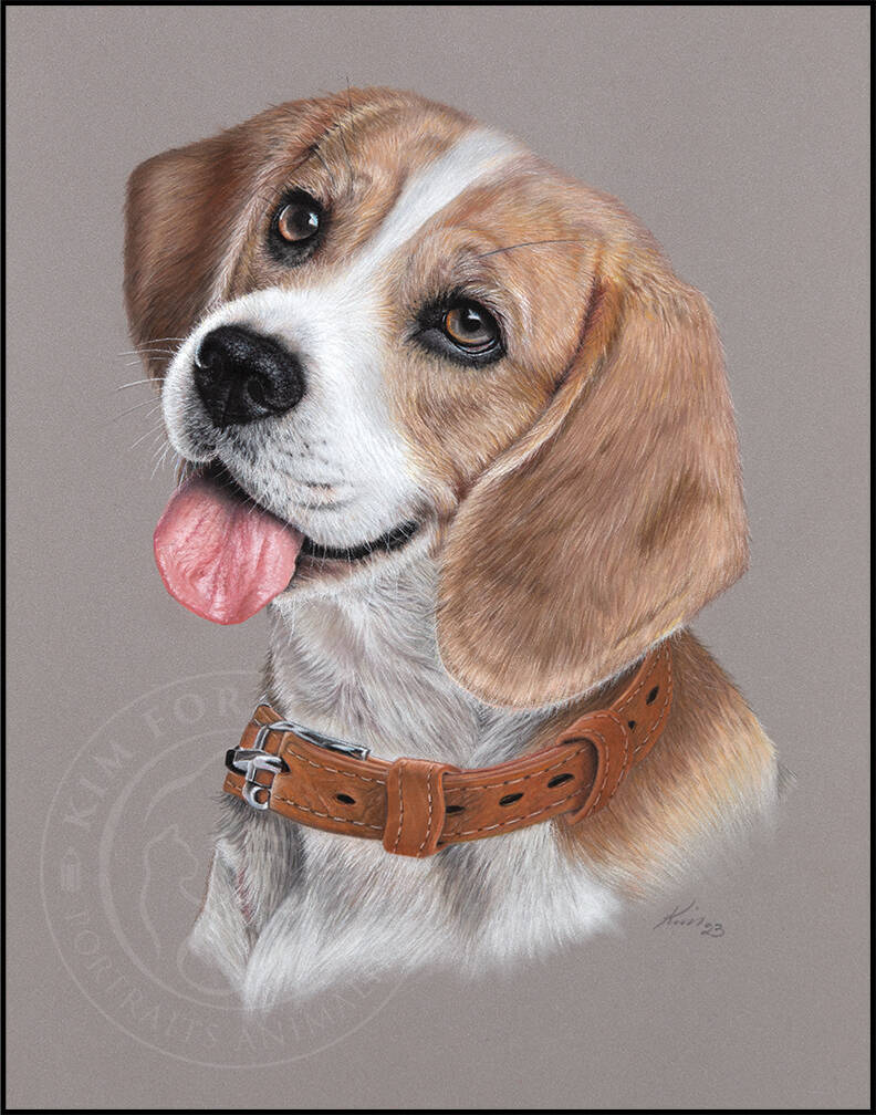 Dessin d'un chien Beagle la langue sortie avec un collier de cuir orangé.