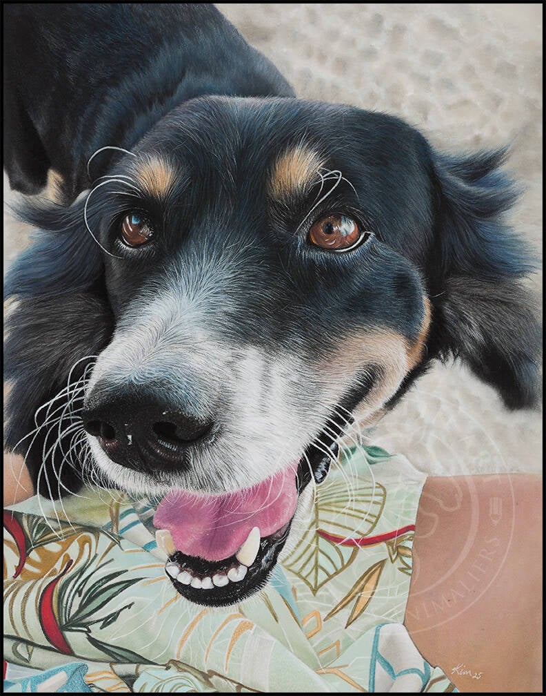 Dessin d'un chien Border collie noir bleuté dû au soleil de la plage souriant à sa maîtresse dont on peut voir la jupe verte à motifs..