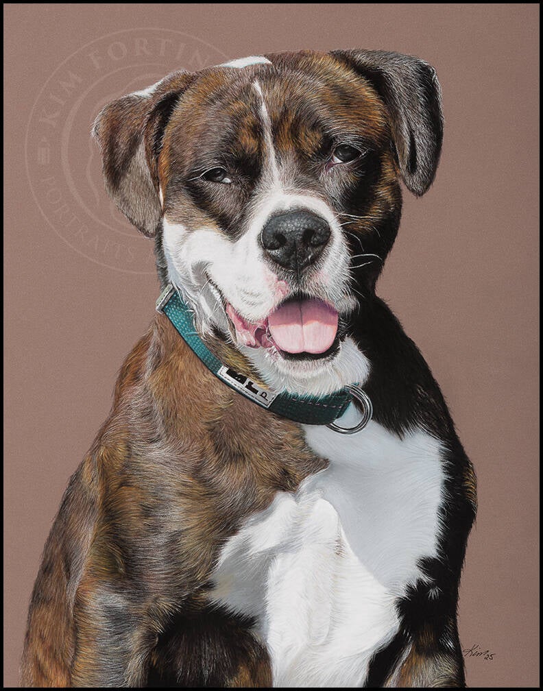 Dessin d'un chien Pit-bull brun et blanc avec un collier vert