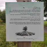 1000-standard-14ha41.jpg