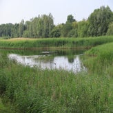 1015-standard-ghif2g.jpg