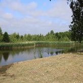 1016-standard-i0krz8.jpg