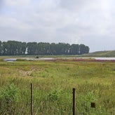 1017-standard-m68sjj.jpg