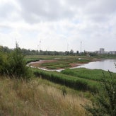 1020-standard-qag2vk.jpg