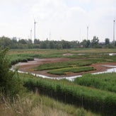1021-standard-sw0d9m.jpg
