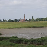 1039-standard-7k9ypz.jpg