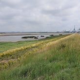 1044-standard-7a3n77.jpg