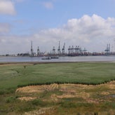 1053-standard-25idmg.jpg