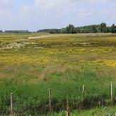 1060-standard-zpvwuf.jpg