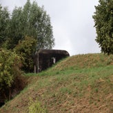 1108-standard-b7l34f.jpg