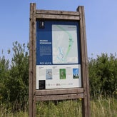 1110-standard-41kec3.jpg