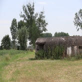 1116-standard-3b1dzq.jpg