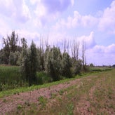 895-standard-18ehme.jpg
