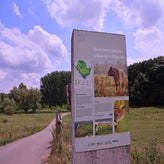 915-standard-8duhfl.jpg