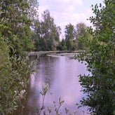 943-standard-jai987.jpg