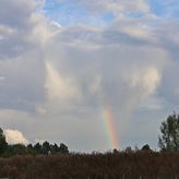 img_0541-standard.jpg