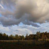 img_0561-standard.jpg