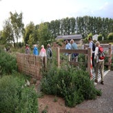 img_0564-standard.jpg