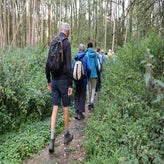 img_0570-standard.jpg