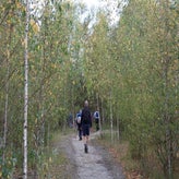 img_0575-standard.jpg