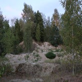 img_0610-standard.jpg