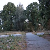 img_0614-standard.jpg