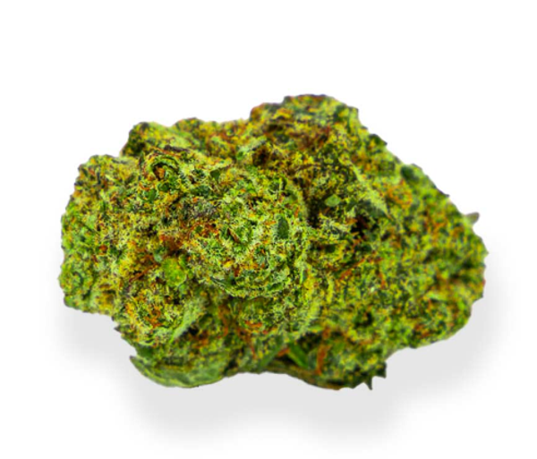 Fleur CBD – Critical
