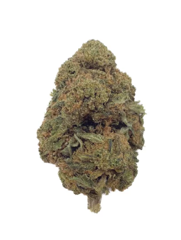 Fleur CBD – OG Kush