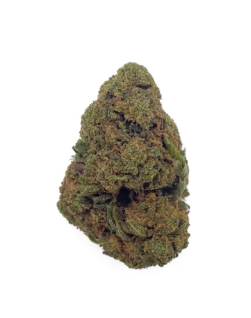 Fleurs CBD –  Strawberry Diesel