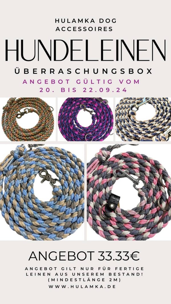 Überraschungsbox Hundeleine PARACORD