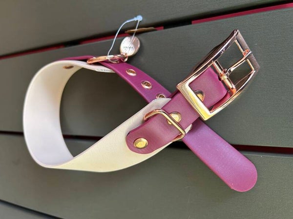 Biothane Halsband Luxury 35-42cm