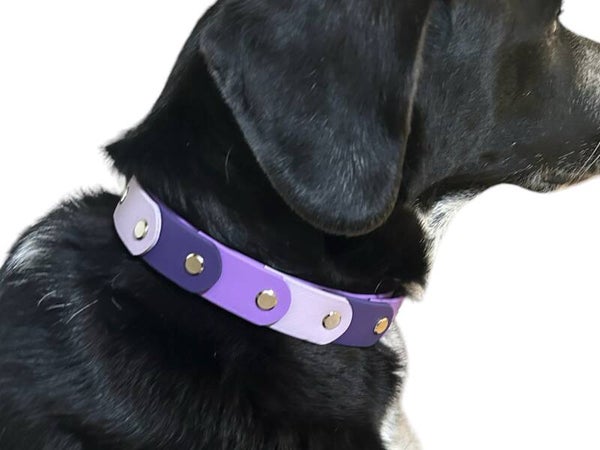 BIOTHANE® Halsband FILO 2,5cm Breite