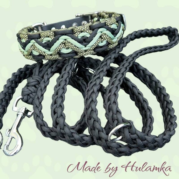 Komplettset Leine und Halsband 38-44cm HU