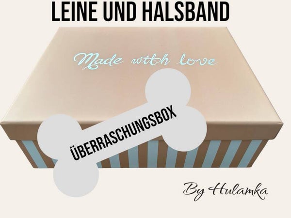 Überraschungsbox Leine und Halsband Set