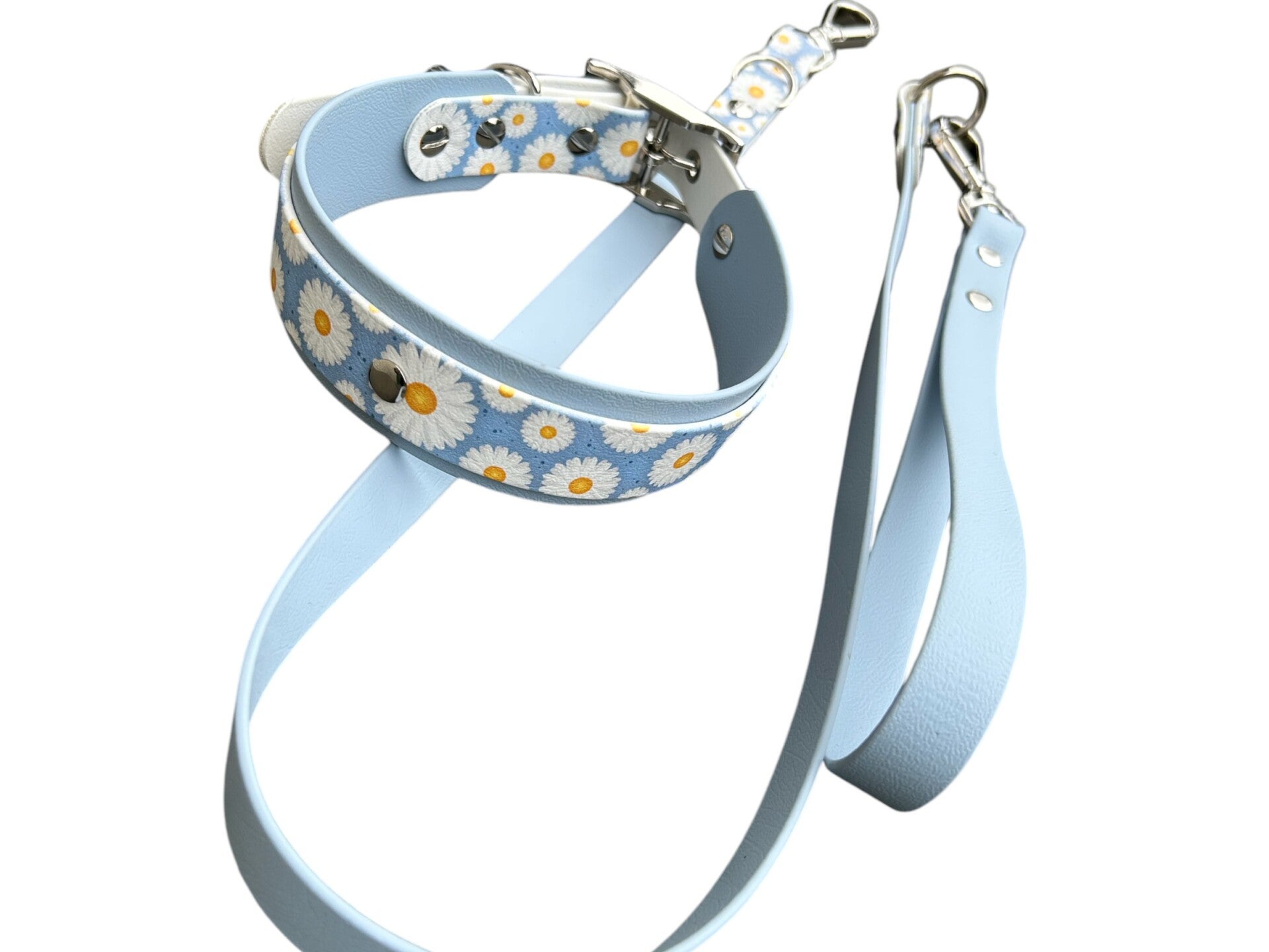 Set Biothane Leine und Halsband HU 39-47cm