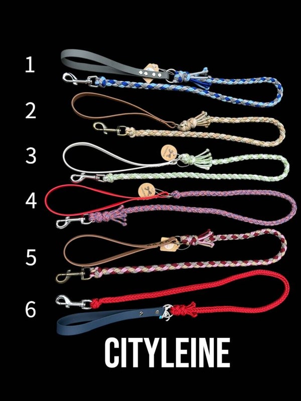 Hundeleine CITY Angebot