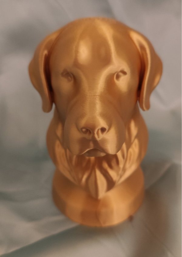 Golden Retriever Büste Gold