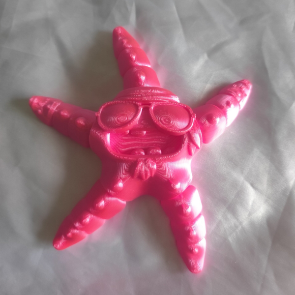 Rock Star Seestern - Verschiedene Grössen